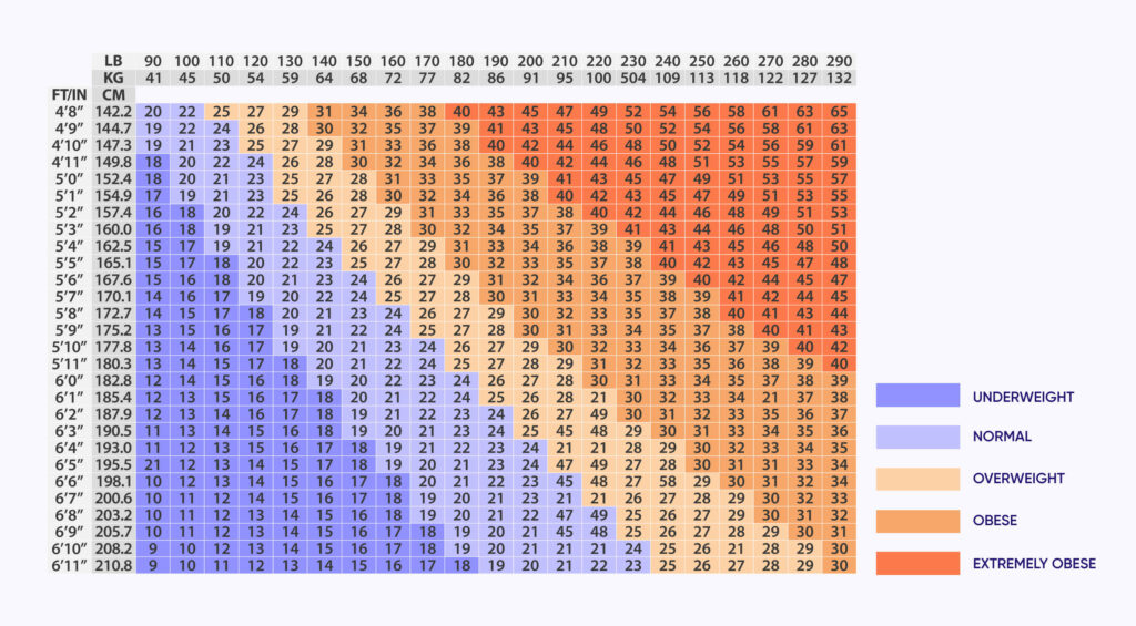 Body mass index chart