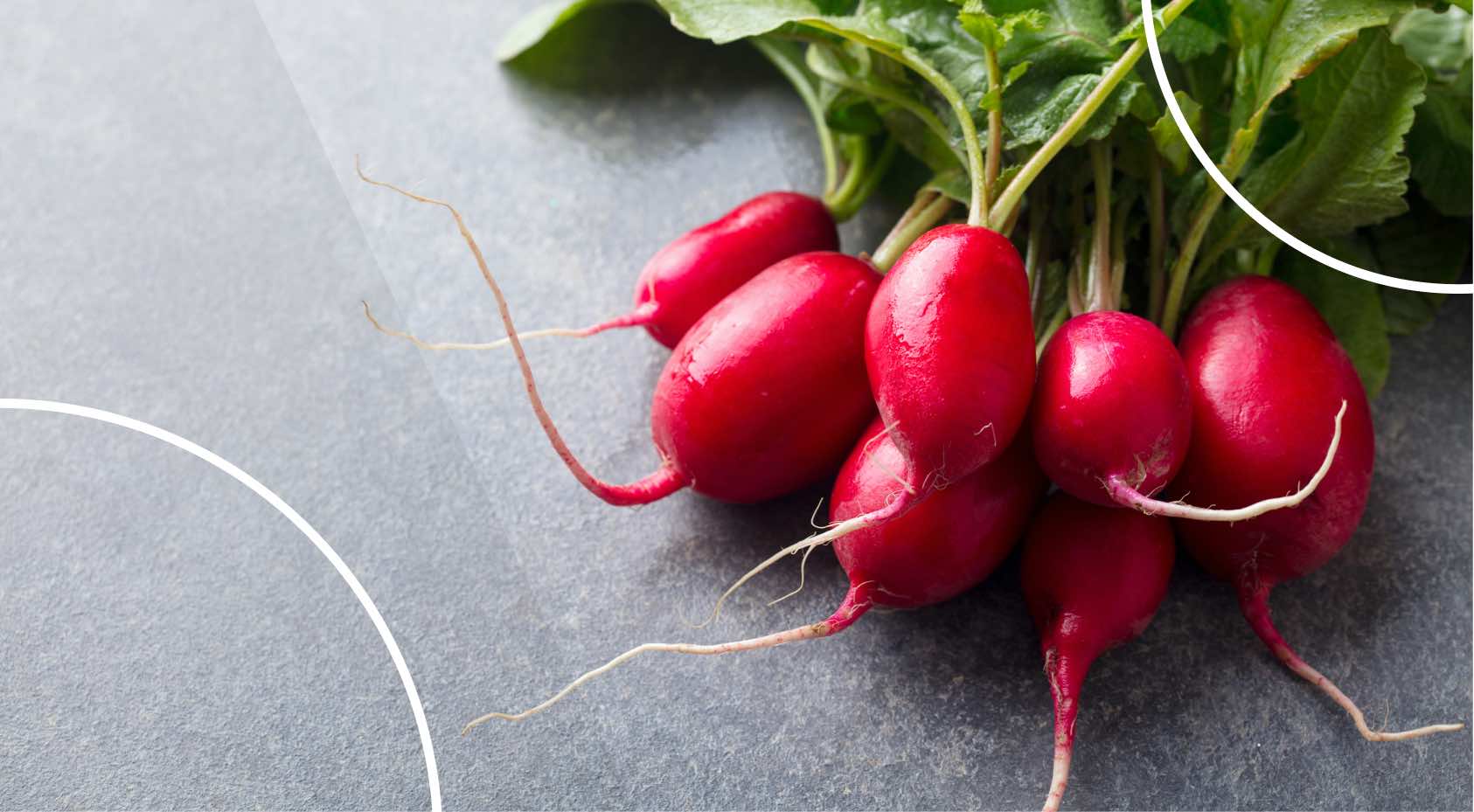 Radishes for Weight Loss and Health Boosting Benefits