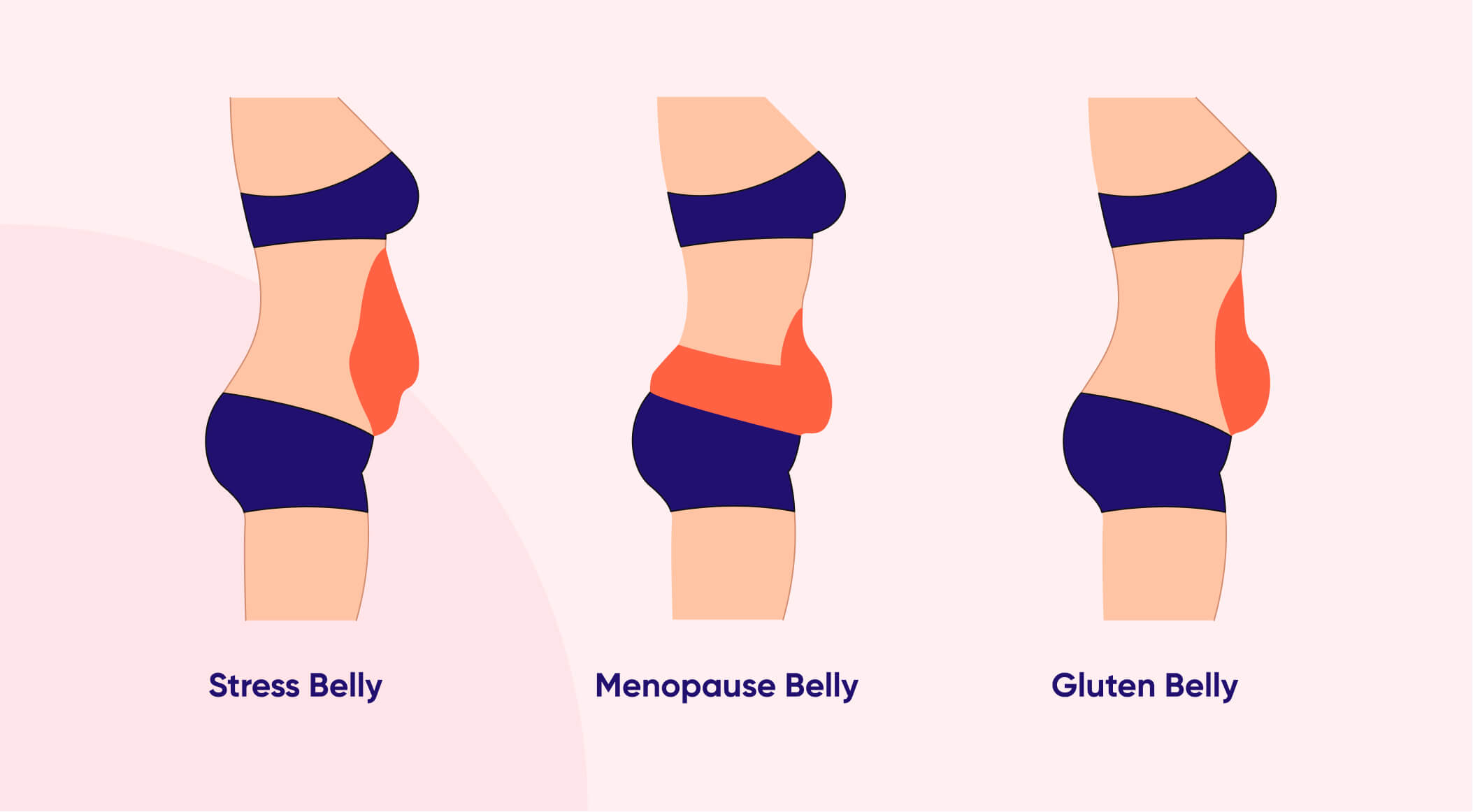 Types of bellies: gluten belly, stress belly, menopause belly