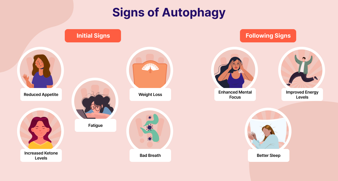 Signs of Autophagy