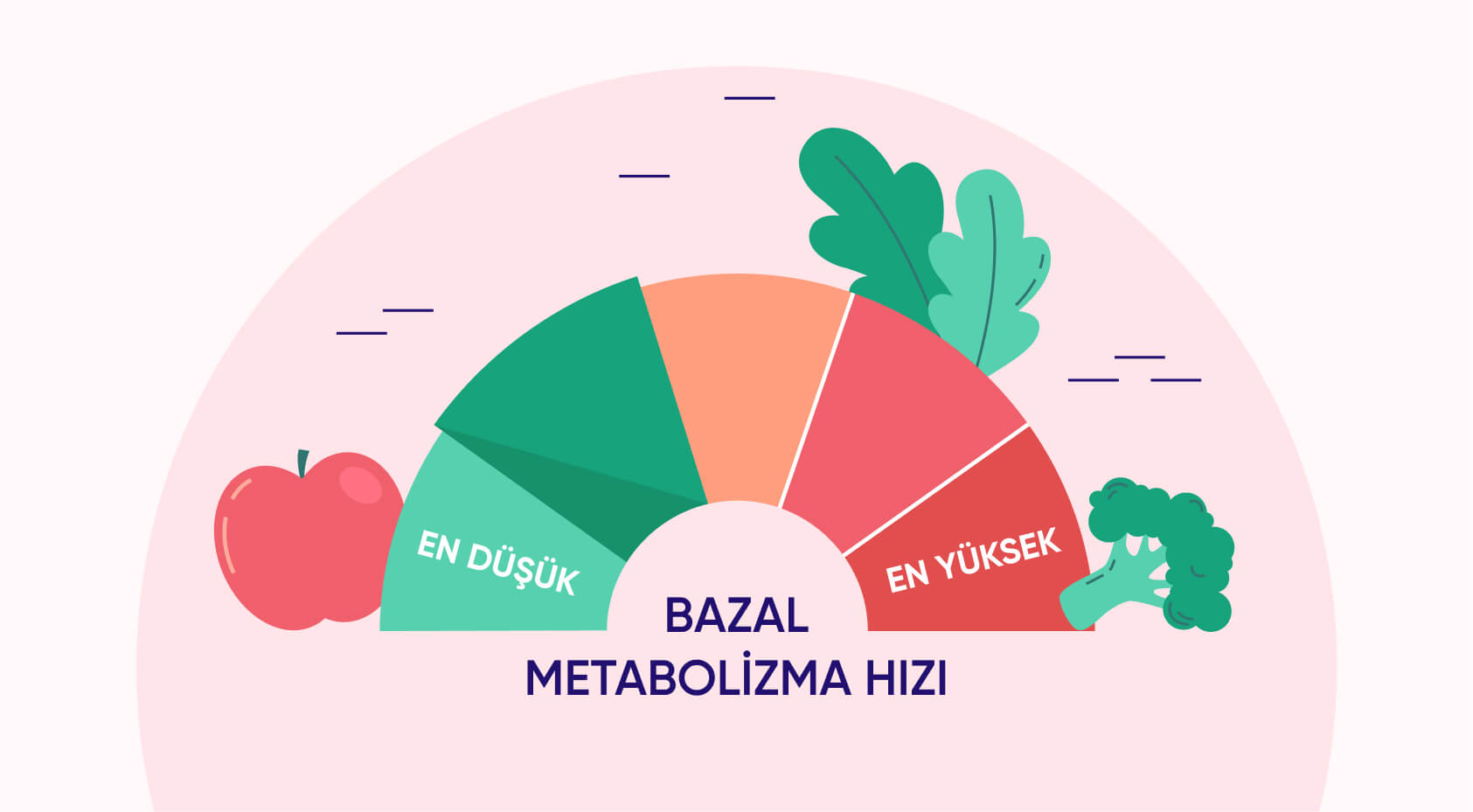 Bazal Metabolizma Hızı Nedir – Nasıl Hesaplanır?