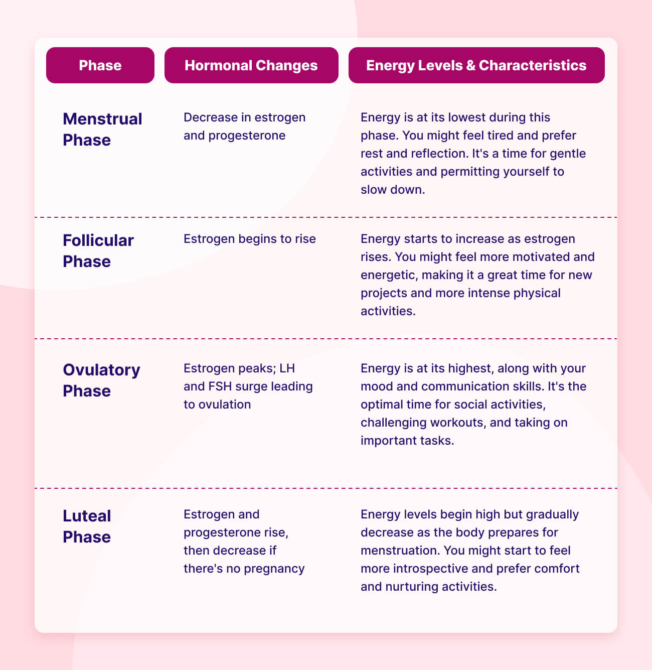 Phases of Menstrual Cycle